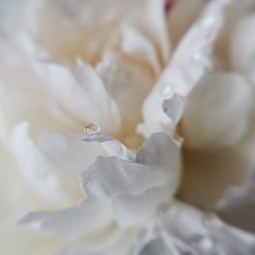 Photo #11396306