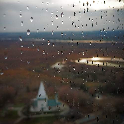 Photo #11396320