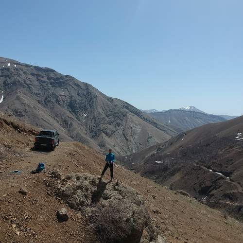 Photo #11396369