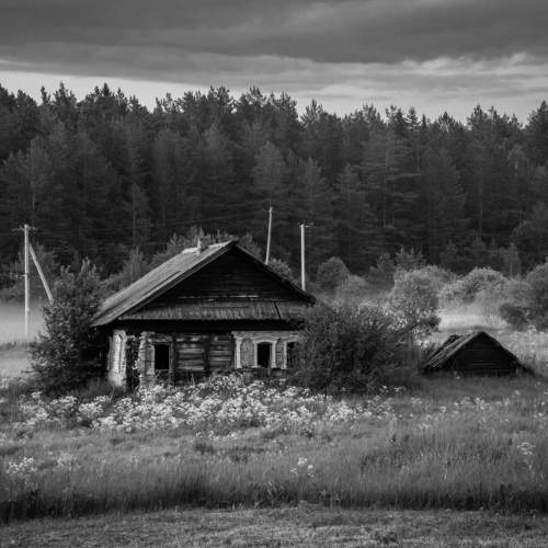 Photo #11396812