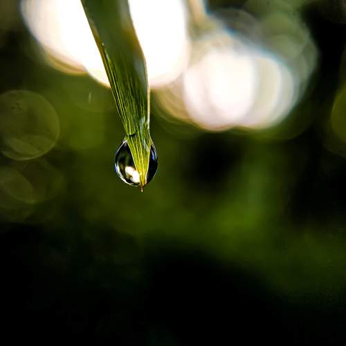 Photo #11397385