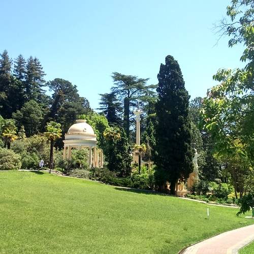 Photo #11397773