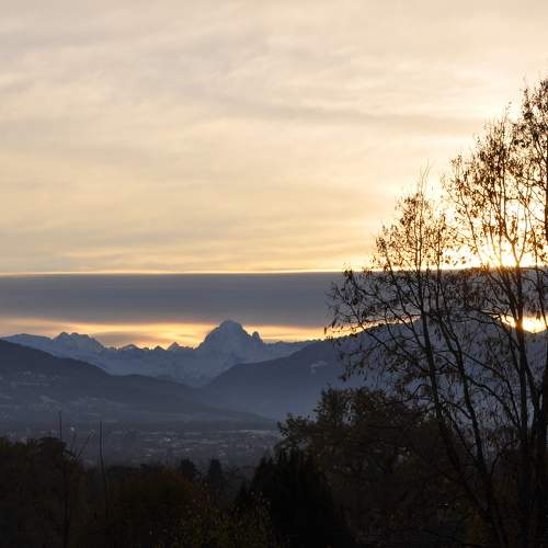 Photo #11397901