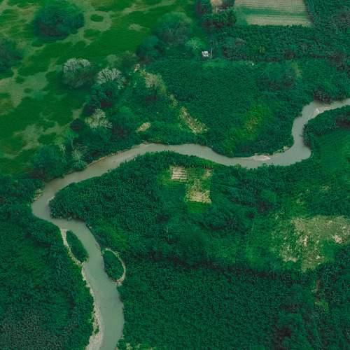 Photo #11398046