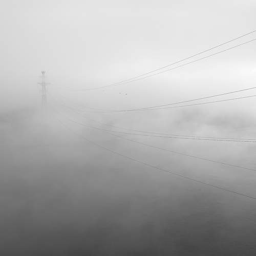 Photo #11398086