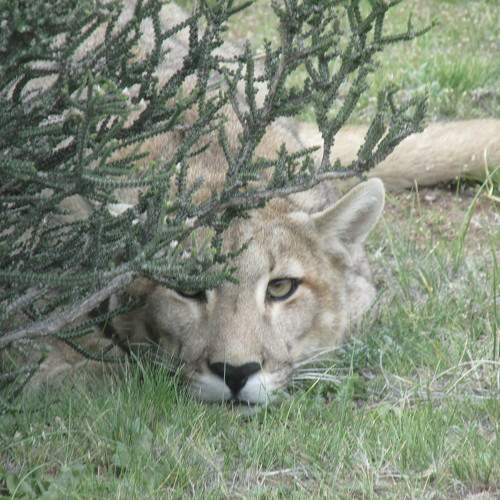 Photo #11398223