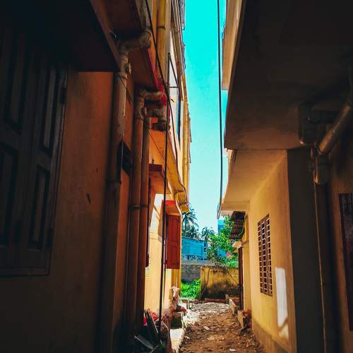 Photo #11398352