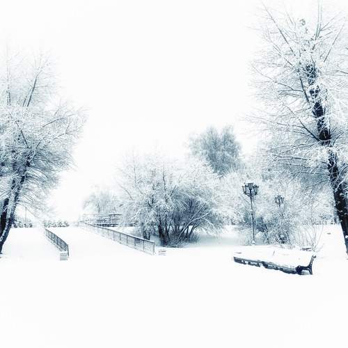 Photo #11398466