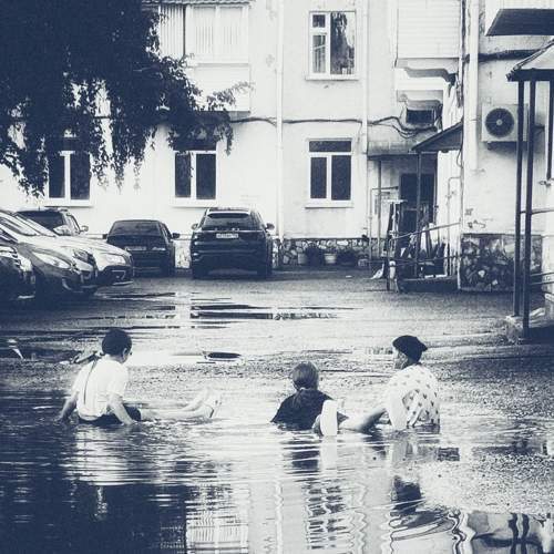 Photo #11398474