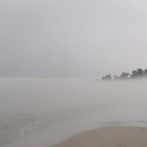 Photo #11398487