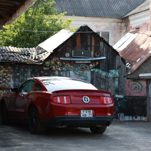Photo #11398933