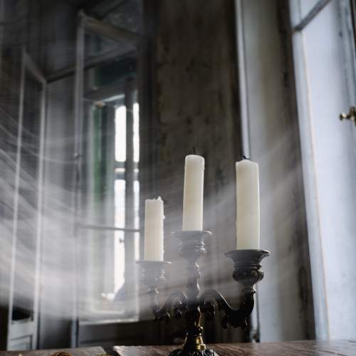 Photo #11398938