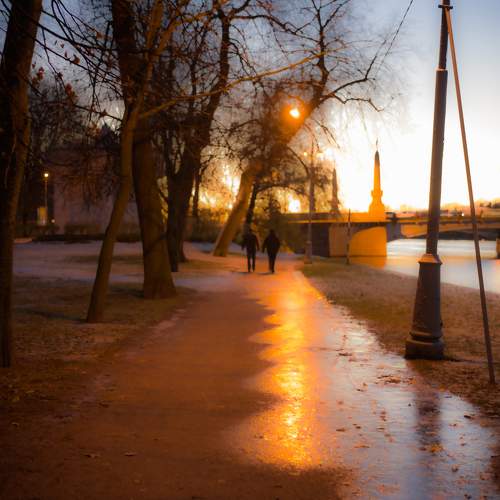 Photo #11398998