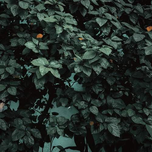 Photo #11399546