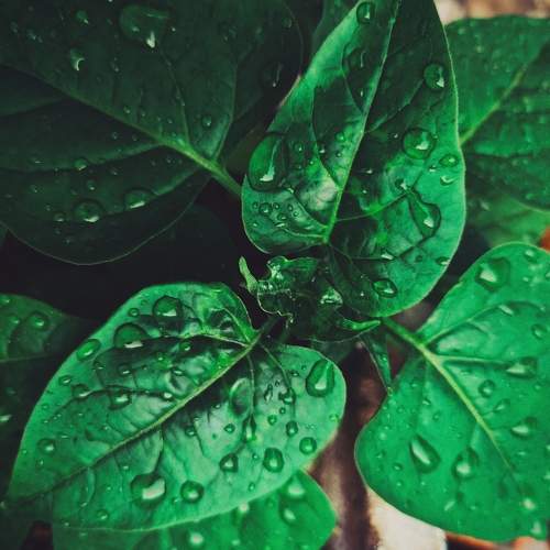Photo #11399560
