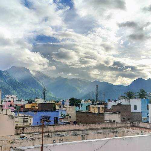 Photo #11399796