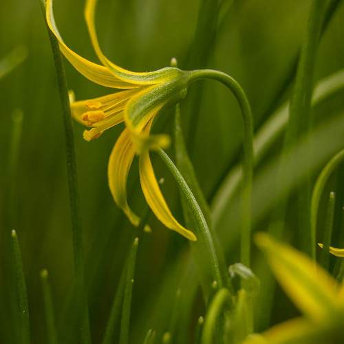 Photo #11399824