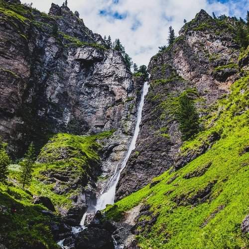 Photo #1141239