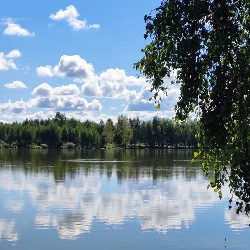 Photo #11400437
