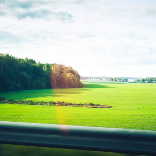 Photo #11400524
