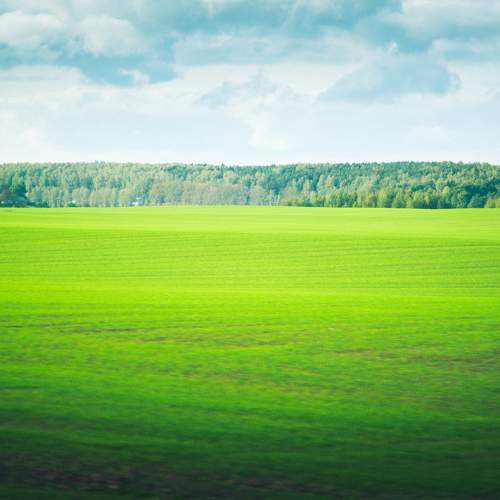 Photo #11400525