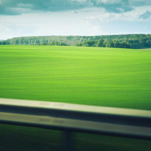 Photo #11400528