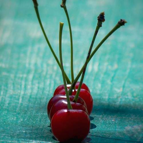 Photo #11400838