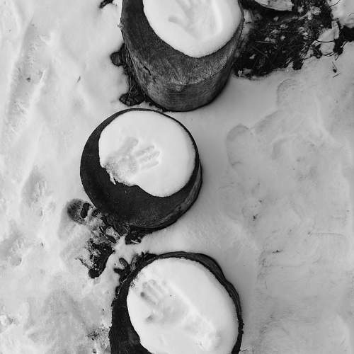 Photo #11400844