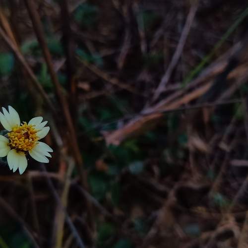 Photo #11400858