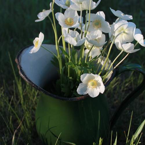 Photo #11400865