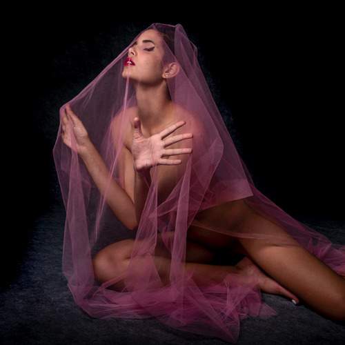 Photo #11400950