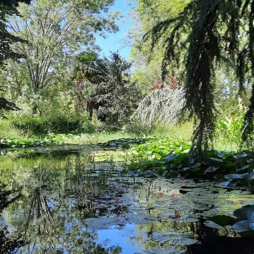 Photo #11401077