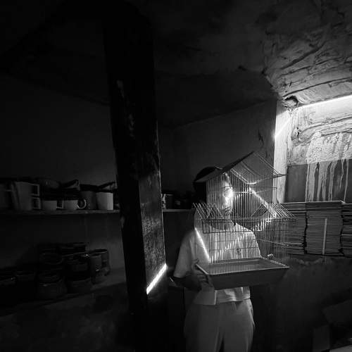 Photo #11401229