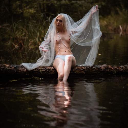 Photo #11401262