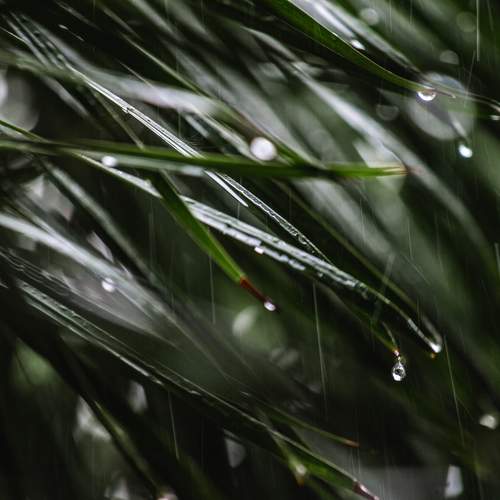 Photo #11401838