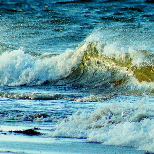 Photo #11401916