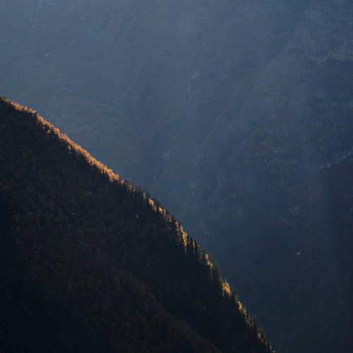 Photo #11401925