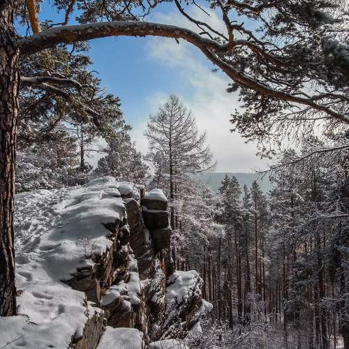 Photo #11402767