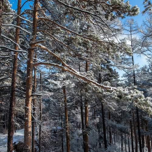 Photo #11402829