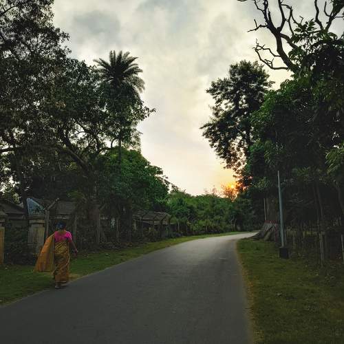 Photo #11402841