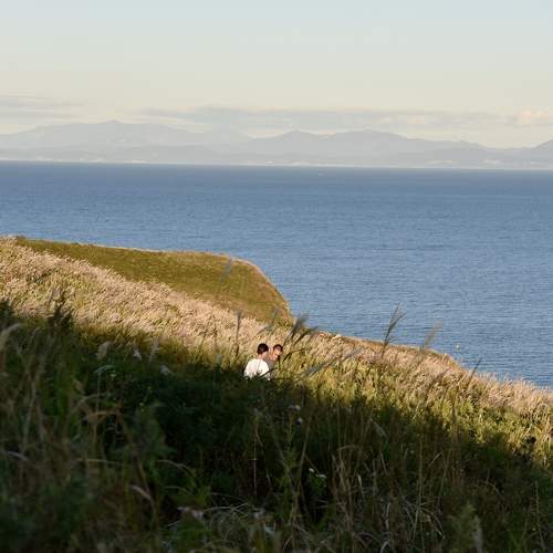 Photo #11403337