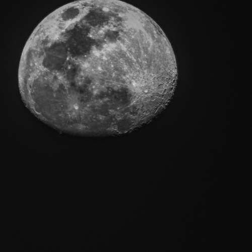 Photo #11403520