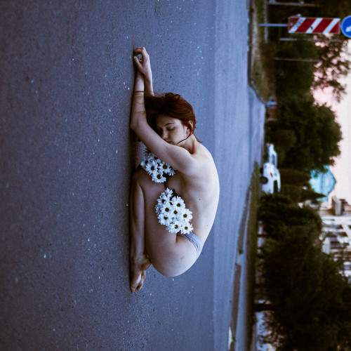 Photo #11403911