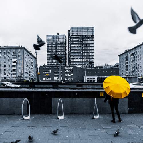 Photo #11404009