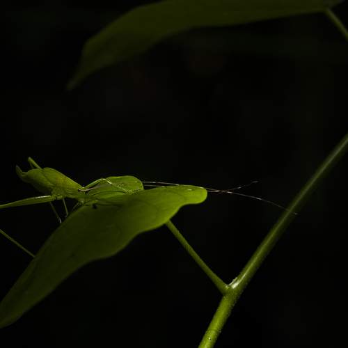 Photo #11404139