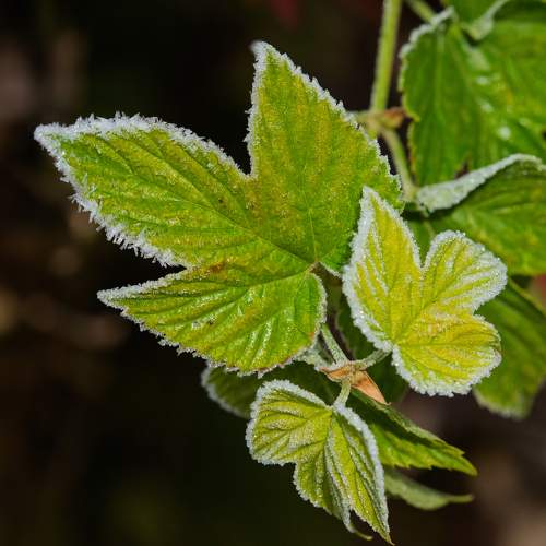 Photo #11404294