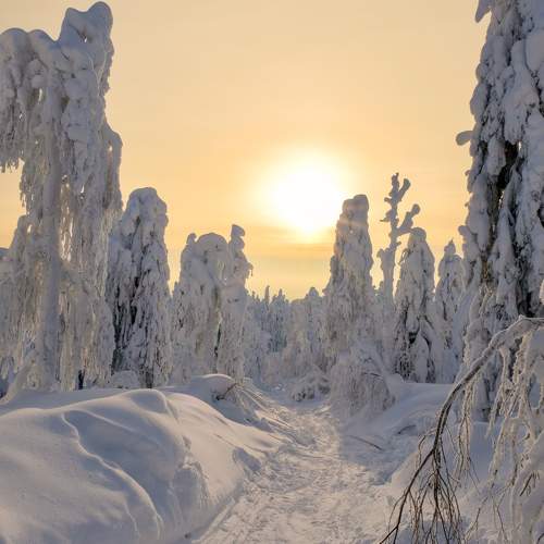 Photo #11404313