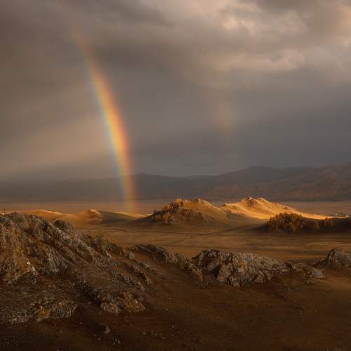 Photo #11404410