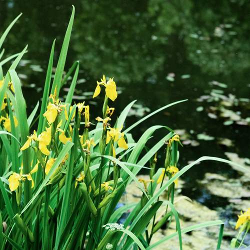 Photo #11404444
