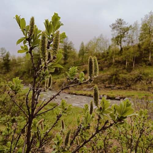 Photo #11404547